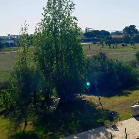 Vivenda Espacosa E Luminosa * Quelfes